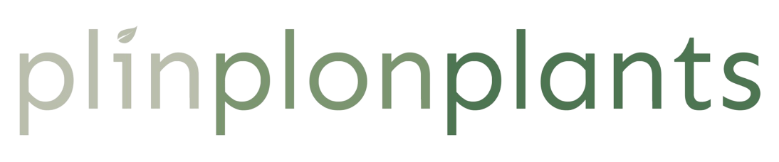 plinplon